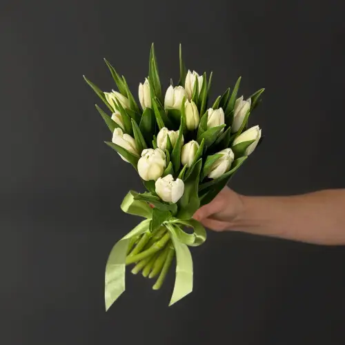 Букет из 15 белых тюльпанов
